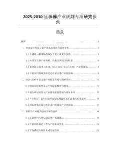 2025-2030顯示器產(chǎn)業(yè)規(guī)劃專項研究報告