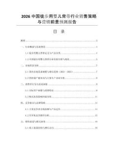 2026中國徒步用嬰兒背帶行業(yè)銷售策略與營銷前景預測報告
