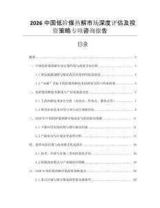 2026中國低階煤熱解市場深度評估及投資策略專項咨詢報告
