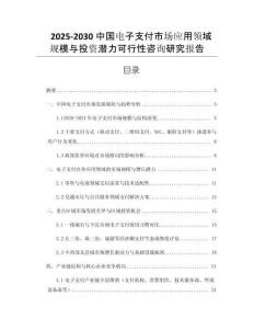 2025-2030中國(guó)電子支付市場(chǎng)應(yīng)用領(lǐng)域規(guī)模與投資潛力可行性咨詢研究報(bào)告