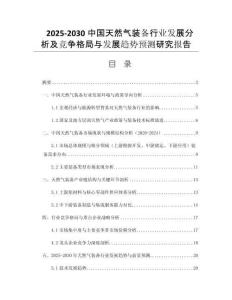 2025-2030中國(guó)天然氣裝備行業(yè)發(fā)展分析及競(jìng)爭(zhēng)格局與發(fā)展趨勢(shì)預(yù)測(cè)研究報(bào)告