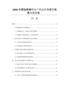 2026中國硅碳棒行業(yè)產(chǎn)銷態(tài)勢與投資前景預測報告