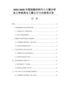 2025-2030中國硅酸材料行業(yè)發(fā)展分析及競爭格局與發(fā)展趨勢預(yù)測研究報告