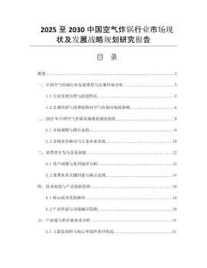2025至2030中國(guó)空氣炸鍋行業(yè)市場(chǎng)現(xiàn)狀及發(fā)展戰(zhàn)略規(guī)劃研究報(bào)告
