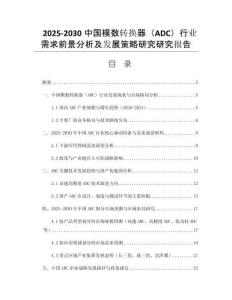 2025-2030中國(guó)模數(shù)轉(zhuǎn)換器（ADC）行業(yè)需求前景分析及發(fā)展策略研究研究報(bào)告