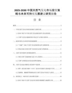 2025-2030中國(guó)天然氣發(fā)電市場(chǎng)投資策略與未來(lái)可持續(xù)發(fā)展建議研究報(bào)告