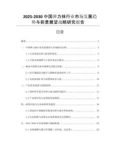 2025-2030中國(guó)彈力襪行業(yè)市場(chǎng)發(fā)展趨勢(shì)與前景展望戰(zhàn)略研究報(bào)告
