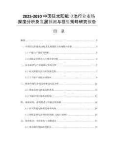 2025-2030中國硅太陽能電池行業(yè)市場深度分析及發(fā)展預(yù)測與投資策略研究報告