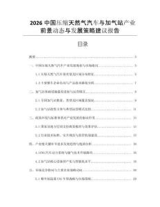 2026中國(guó)壓縮天然氣汽車(chē)與加氣站產(chǎn)業(yè)前景動(dòng)態(tài)與發(fā)展策略建議報(bào)告