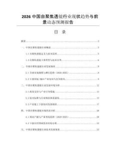 2026中國自聚焦透鏡行業(yè)現(xiàn)狀趨勢與前景動態(tài)預(yù)測報告