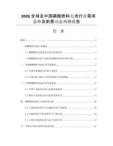 2026全球及中國磷酸燃料電池行業(yè)需求態(tài)勢及前景動態(tài)預(yù)測報(bào)告