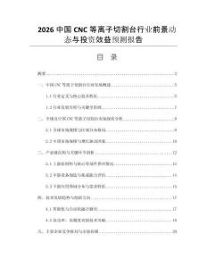 2026中國CNC等離子切割臺行業(yè)前景動態(tài)與投資效益預(yù)測報(bào)告