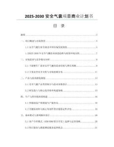 2025-2030安全氣囊項(xiàng)目商業(yè)計(jì)劃書