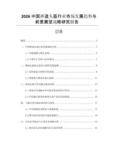 2026中國彈道頭盔行業市場發展趨勢與前景展望戰略研究報告