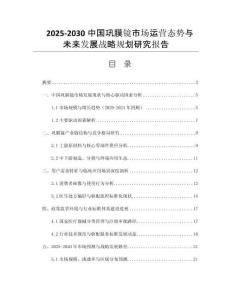 2025-2030中國(guó)鞏膜鏡市場(chǎng)運(yùn)營(yíng)態(tài)勢(shì)與未來發(fā)展戰(zhàn)略規(guī)劃研究報(bào)告