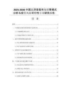 2025-2030中國懸浮音箱市場銷售模式分析與投資風險可行性專項研究報告