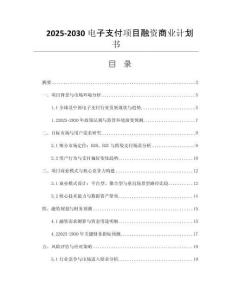 2025-2030電子支付項(xiàng)目融資商業(yè)計(jì)劃書(shū)