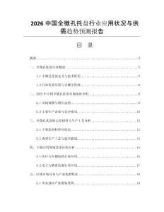 2026中國全微孔托盤行業(yè)應用狀況與供需趨勢預測報告
