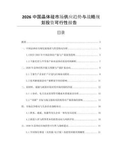 2026中國晶體硅市場供應趨勢與戰(zhàn)略規(guī)劃投資可行性報告