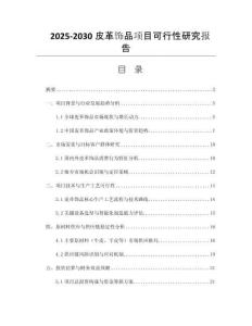 2025-2030皮革飾品項目可行性研究報告