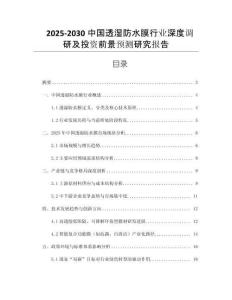 2025-2030中國(guó)透濕防水膜行業(yè)深度調(diào)研及投資前景預(yù)測(cè)研究報(bào)告