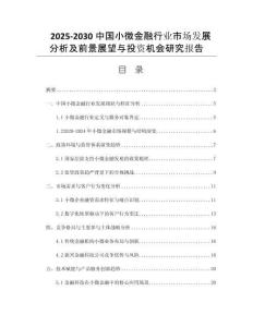 2025-2030中國小微金融行業(yè)市場發(fā)展分析及前景展望與投資機(jī)會(huì)研究報(bào)告