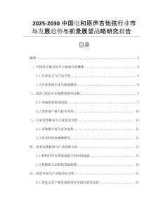 2025-2030中國電和原聲吉他弦行業(yè)市場發(fā)展趨勢與前景展望戰(zhàn)略研究報告