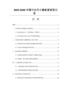 2025-2030中國噴丸行業(yè)最新度研究報告