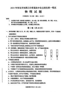 2025年青島市局屬公辦高中自主招生物理試題真題（含答案）