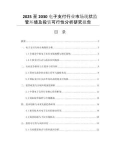 2025至2030電子支付行業(yè)市場(chǎng)現(xiàn)狀監(jiān)管環(huán)境及投資可行性分析研究報(bào)告