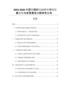 2025-2030中國堅(jiān)固的電腦行業(yè)市場發(fā)展趨勢與前景展望戰(zhàn)略研究報(bào)告