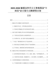 2025-2030敏感元件行業(yè)競(jìng)爭(zhēng)格局及“十四五”企業(yè)投資戰(zhàn)略研究報(bào)告