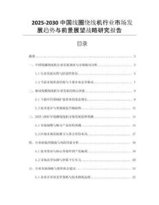 2025-2030中國(guó)線圈繞線機(jī)行業(yè)市場(chǎng)發(fā)展趨勢(shì)與前景展望戰(zhàn)略研究報(bào)告