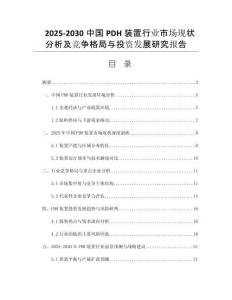 2025-2030中國PDH裝置行業(yè)市場現(xiàn)狀分析及競爭格局與投資發(fā)展研究報(bào)告