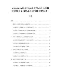 2025-2030數(shù)控組合機(jī)床行業(yè)市場(chǎng)發(fā)展現(xiàn)狀及競(jìng)爭(zhēng)格局與投資戰(zhàn)略研究報(bào)告