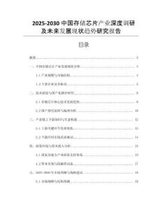 2025-2030中國存儲(chǔ)芯片產(chǎn)業(yè)深度調(diào)研及未來發(fā)展現(xiàn)狀趨勢研究報(bào)告