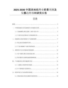 2025-2030中國(guó)洗地機(jī)行業(yè)前景預(yù)測(cè)及發(fā)展趨勢(shì)預(yù)判研究報(bào)告