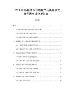 2026中國-版紫銅帶箔材市場供需狀況及發(fā)展環(huán)境分析報告