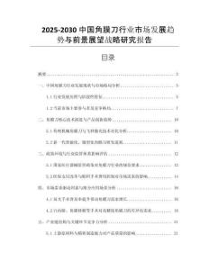 2025-2030中國(guó)角膜刀行業(yè)市場(chǎng)發(fā)展趨勢(shì)與前景展望戰(zhàn)略研究報(bào)告