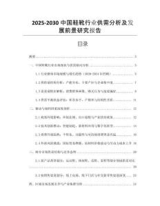 2025-2030中國鞋靴行業(yè)供需分析及發(fā)展前景研究報告