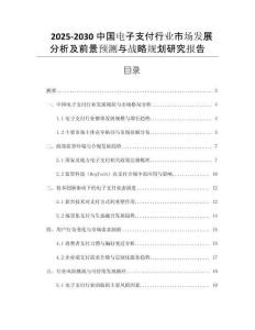 2025-2030中國電子支付行業(yè)市場(chǎng)發(fā)展分析及前景預(yù)測(cè)與戰(zhàn)略規(guī)劃研究報(bào)告