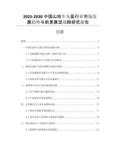 2025-2030中國山地車頭盔行業(yè)市場發(fā)展趨勢與前景展望戰(zhàn)略研究報告