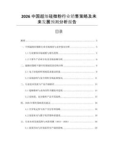 2026中國(guó)超細(xì)硅微粉行業(yè)銷售策略及未來(lái)發(fā)展預(yù)測(cè)分析報(bào)告