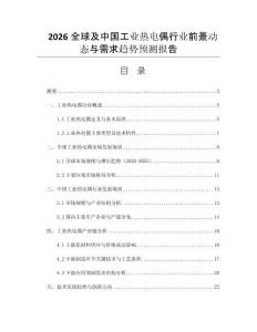 2026全球及中國工業(yè)熱電偶行業(yè)前景動態(tài)與需求趨勢預(yù)測報告
