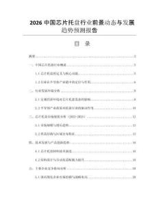 2026中國芯片托盤行業(yè)前景動(dòng)態(tài)與發(fā)展趨勢(shì)預(yù)測報(bào)告
