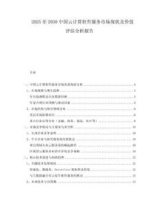 2025至2030中國云計算軟件服務(wù)市場現(xiàn)狀及價值評估分析報告
