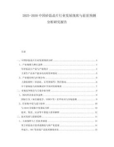 2025-2030中國(guó)矽磊晶片行業(yè)發(fā)展現(xiàn)狀與前景預(yù)測(cè)分析研究報(bào)告