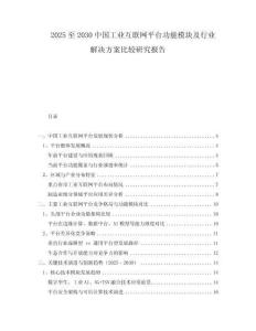 2025至2030中國工業(yè)互聯(lián)網(wǎng)平臺功能模塊及行業(yè)解決方案比較研究報(bào)告