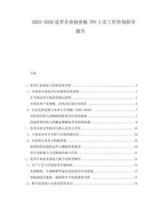 2025-2030皮草企業(yè)創(chuàng)業(yè)板IPO上市工作咨詢指導(dǎo)報(bào)告