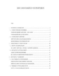 2025-2030鉆戒項(xiàng)目可行性研究報(bào)告